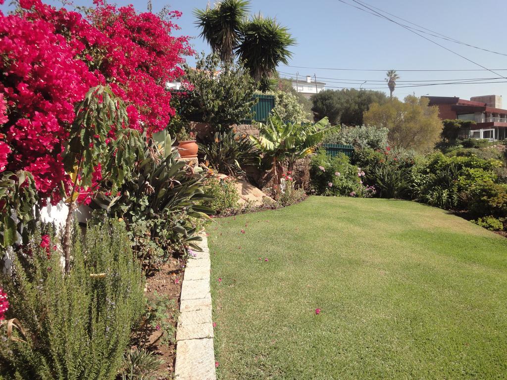 Orchidea Terrace Villa Malveira da Serra Room photo