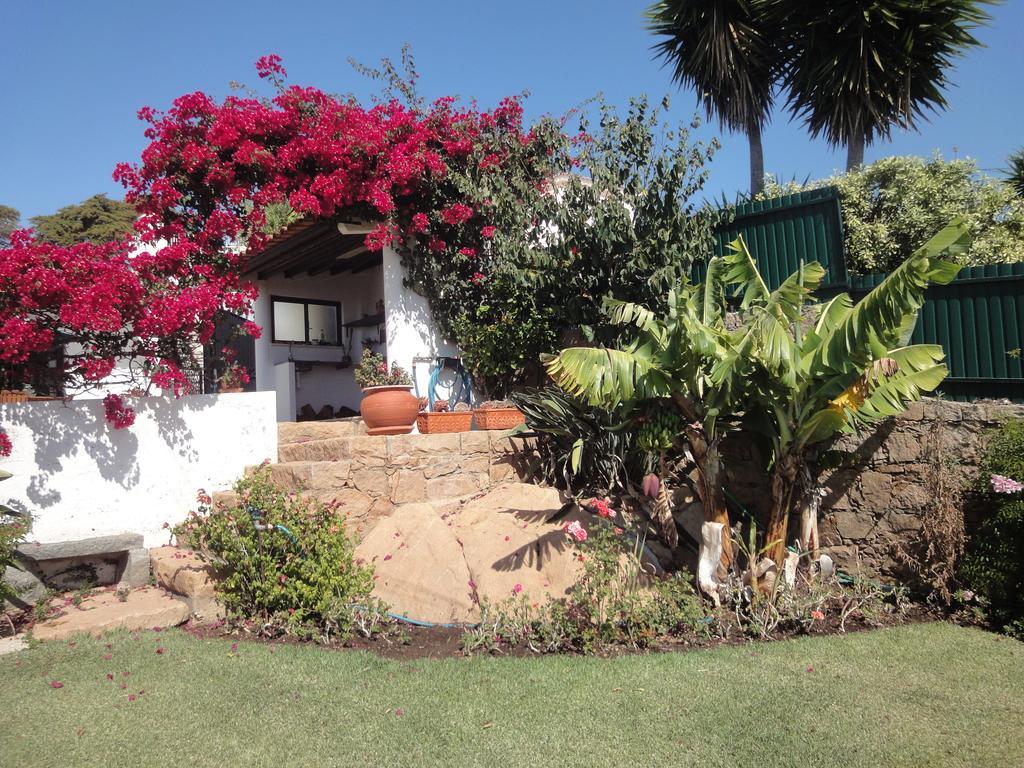 Orchidea Terrace Villa Malveira da Serra Room photo